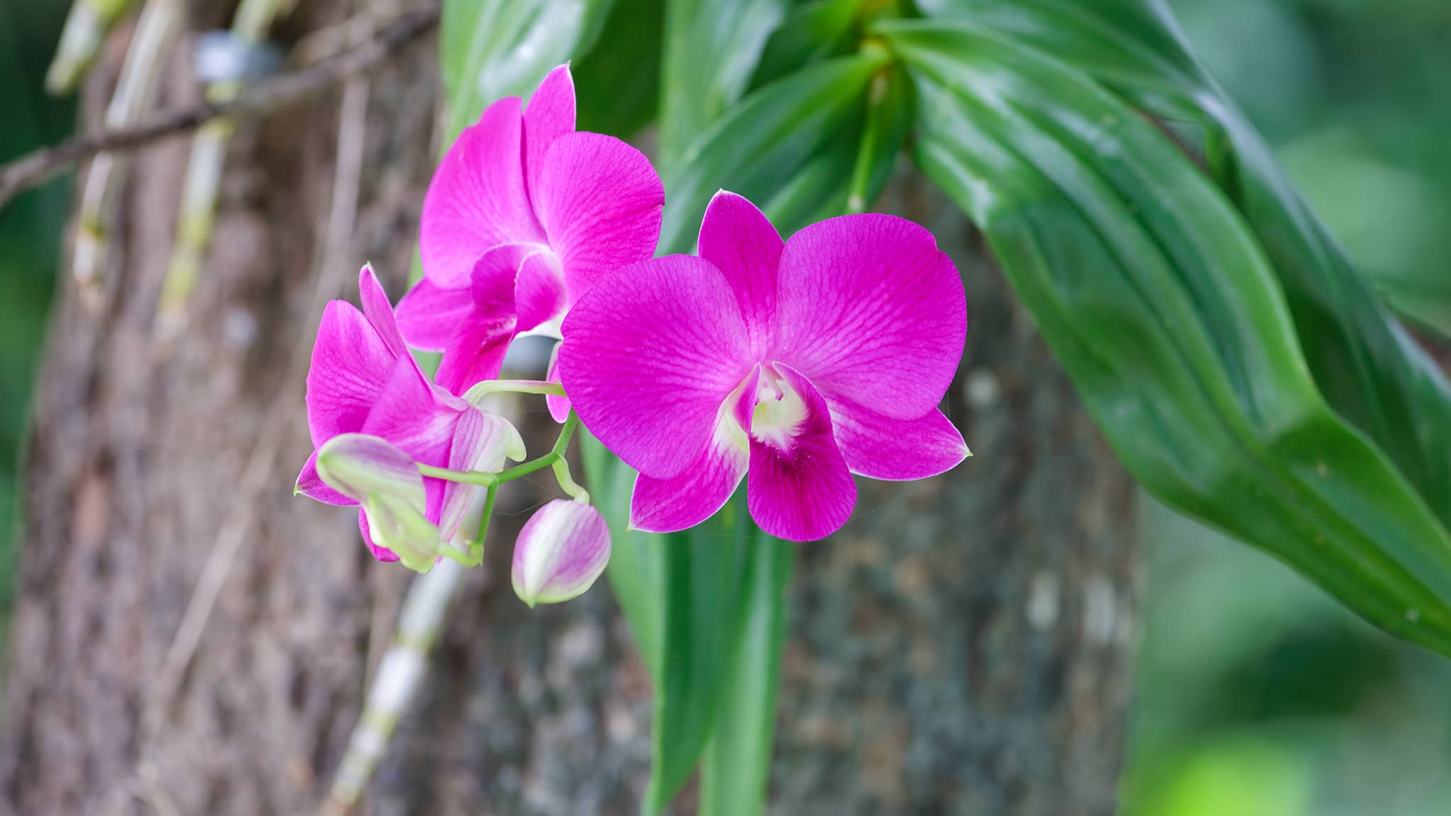 06a - Ile de Liuqiu (30).jpg